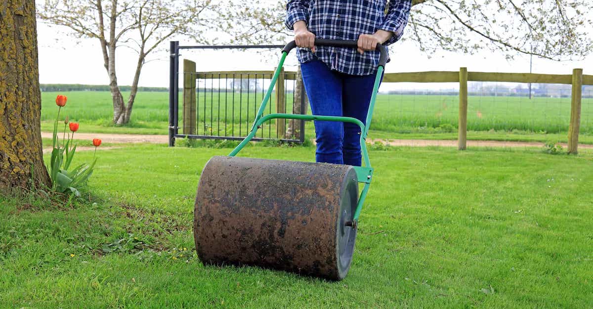 Using Lawn Roller | Best Home Gear